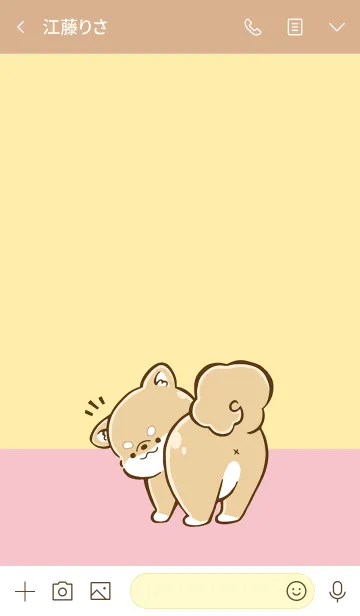 [LINE着せ替え] Shiba Inu Life 〜柴犬のいる暮らし〜の画像3
