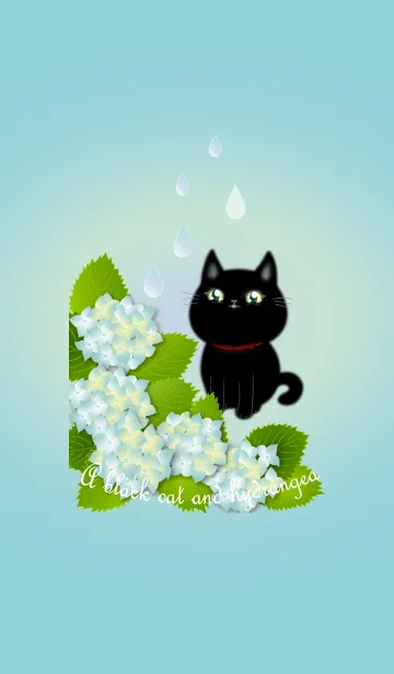 [LINE着せ替え] アジサイの花と黒猫ちゃん 1(雨降り編)の画像1