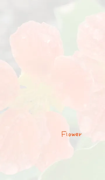 [LINE着せ替え] 花のきせかえ9の画像1