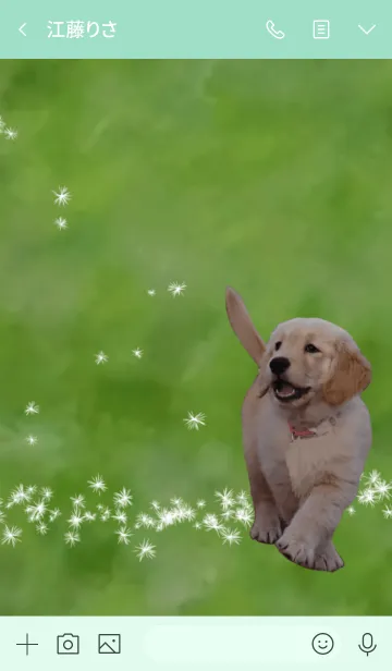 [LINE着せ替え] Puppy！ゴールデンレトリバーKちゃん☆Photoの画像3