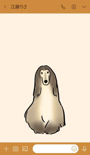 [LINE着せ替え] アフガンハウンドの画像3