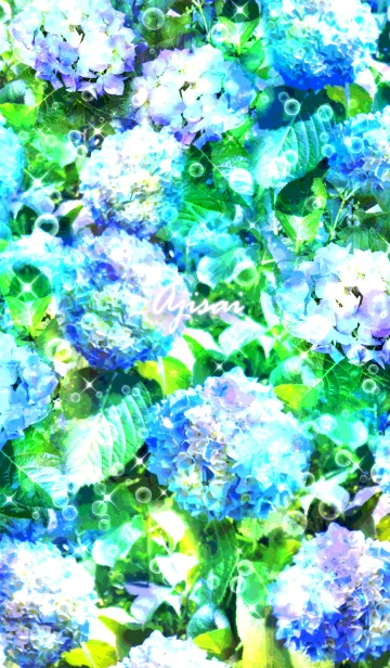 [LINE着せ替え] -紫陽花-の画像1