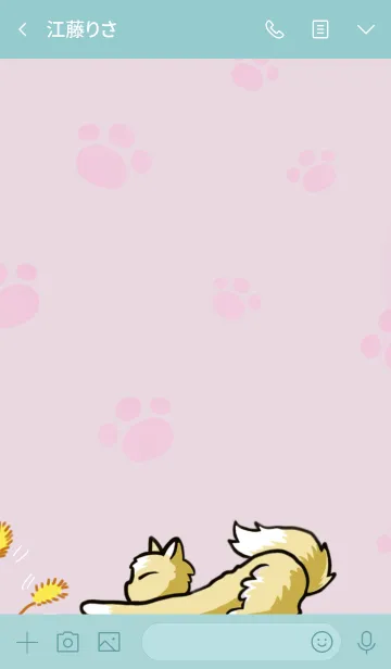 [LINE着せ替え] ネコ猫ねこ一杯の画像3