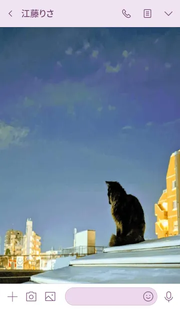 [LINE着せ替え] 黒猫のとスコティッシュフォールド猫の画像3