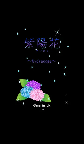 [LINE着せ替え] 1-1B 紫陽花(あじさい) 〜Hydrangea〜の画像1