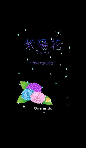 [LINE着せ替え] 2-1B 紫陽花(あじさい) 〜Hydrangea〜の画像1
