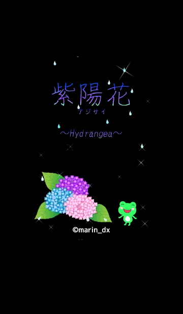 [LINE着せ替え] 3-2B 紫陽花(あじさい) 〜Hydrangea〜の画像1