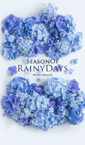 [LINE着せ替え] Season of Rainy Daysの画像1