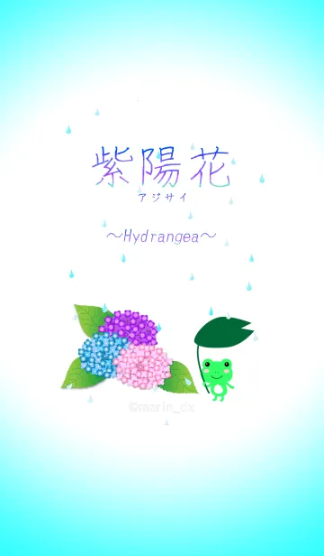 [LINE着せ替え] 3-1 紫陽花(あじさい) 〜Hydrangea〜の画像1