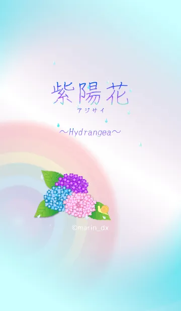 [LINE着せ替え] 2-2 紫陽花(あじさい) 〜Hydrangea〜の画像1