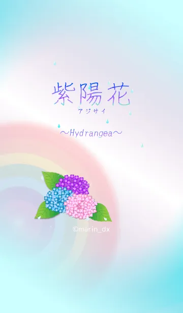 [LINE着せ替え] 1-2 紫陽花(あじさい) 〜Hydrangea〜の画像1
