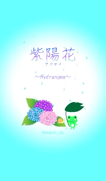 [LINE着せ替え] 4-1 紫陽花(あじさい) 〜Hydrangea〜の画像1