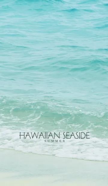 HAWAIIAN SEASIDE 25 -SUMMER-の着せ替えメイン画像