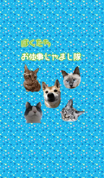 [LINE着せ替え] ぼくたちお仕事じゃまし隊の画像1