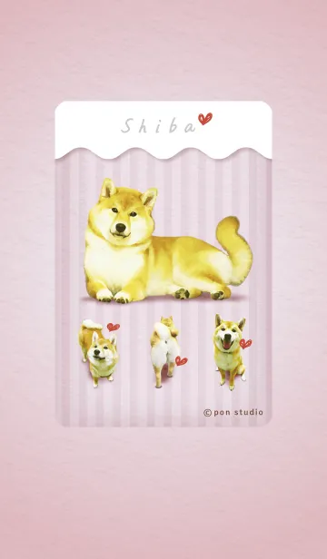 [LINE着せ替え] 今日も柴犬といっしょ 着せかえの画像1