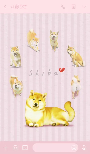 [LINE着せ替え] 今日も柴犬といっしょ 着せかえの画像3