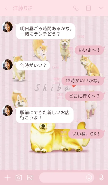 [LINE着せ替え] 今日も柴犬といっしょ 着せかえの画像4