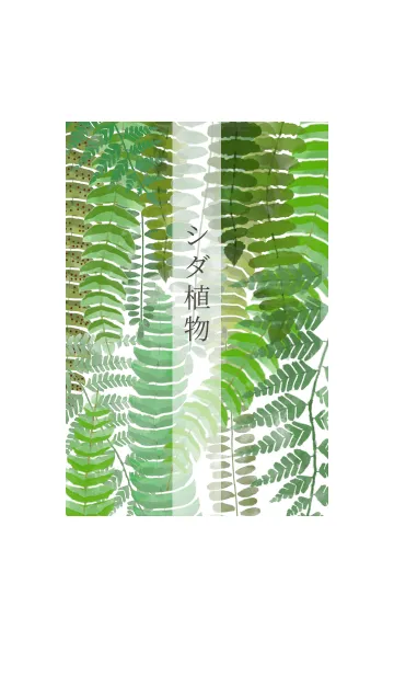 [LINE着せ替え] 植物図鑑 シダ植物の画像1