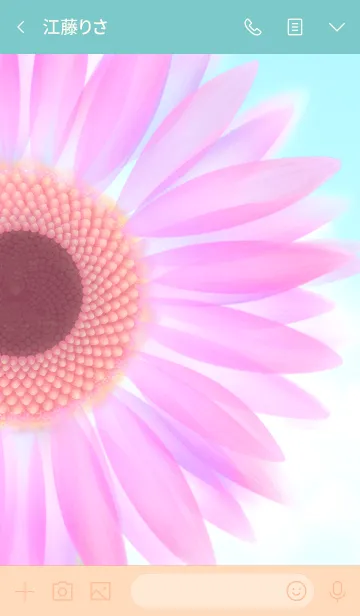 [LINE着せ替え] PINK FLOWER*の画像3