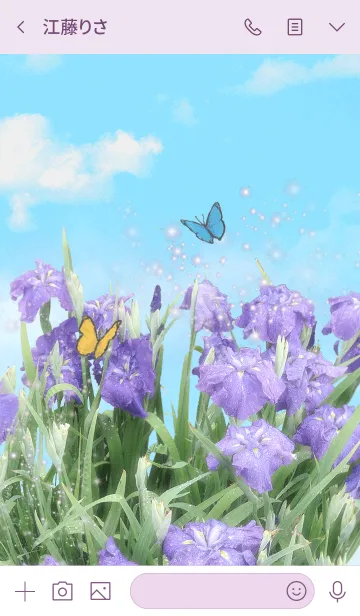 [LINE着せ替え] 菖蒲と蝶の画像3