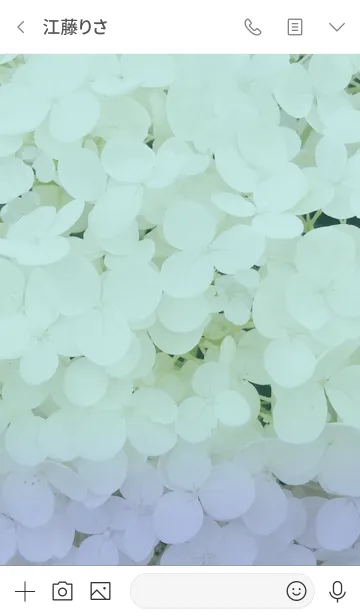 [LINE着せ替え] 紫陽花 hydrangea(blue)の画像3