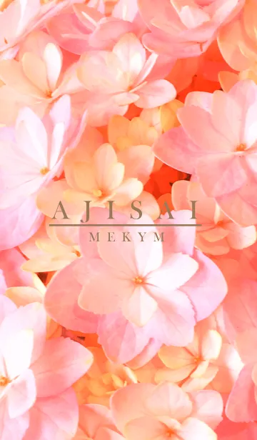 [LINE着せ替え] AJISAI Flower -MEKYM- 8の画像1