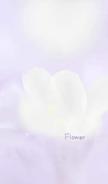 [LINE着せ替え] 花のきせかえ10の画像1