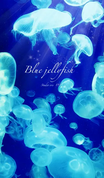 [LINE着せ替え] くらげ Blue jellyfishの画像1