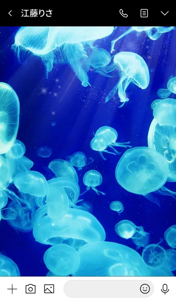 [LINE着せ替え] くらげ Blue jellyfishの画像3