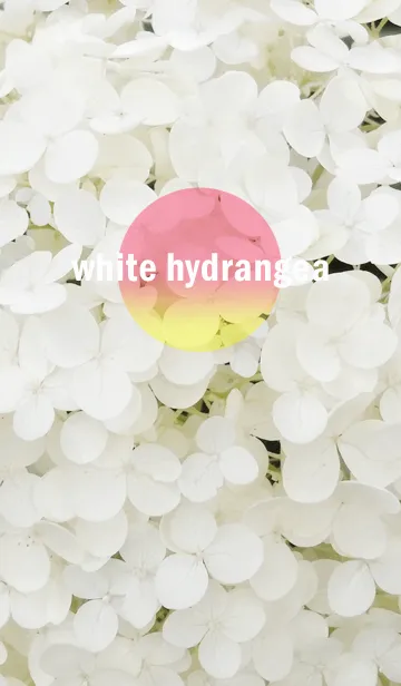 [LINE着せ替え] 紫陽花 hydrangea(pink)の画像1