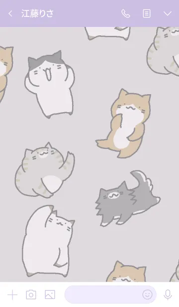 [LINE着せ替え] ねこ満載の画像3