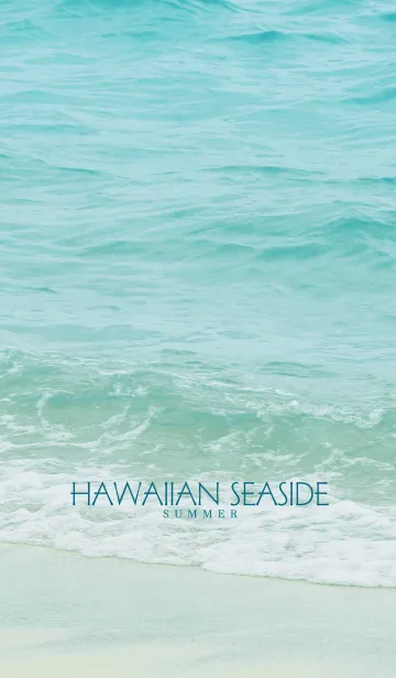 [LINE着せ替え] HAWAIIAN SEASIDE 28 -SUMMER-の画像1