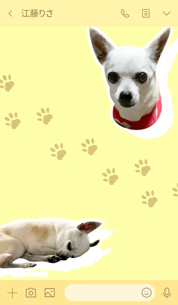 [LINE着せ替え] ちゃぴの画像3