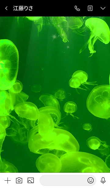 [LINE着せ替え] くらげ Green jellyfishの画像3