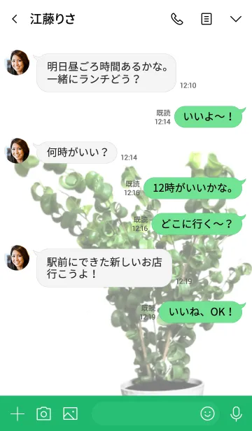 [LINE着せ替え] フィカス ベンジャミンバロックの画像4