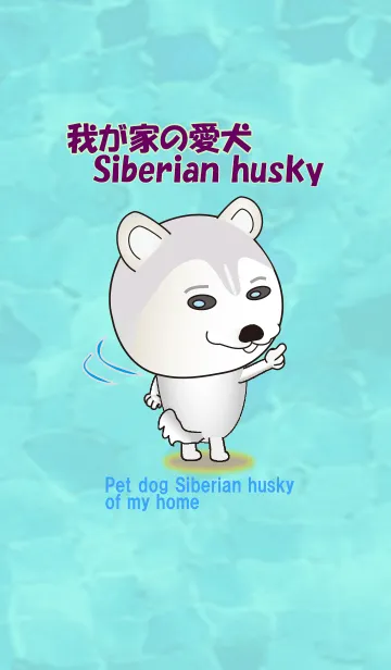 [LINE着せ替え] 我が家の愛犬Siberian huskyの画像1
