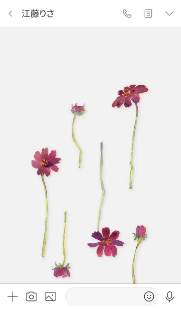 [LINE着せ替え] チョコレートコスモスの花。水彩の画像3