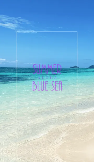 [LINE着せ替え] SUMMER BLUE SEA ALOHA 9.の画像1