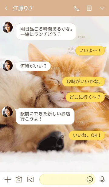 [LINE着せ替え] 超カワイイ！子犬と子猫が仲良くお昼寝♪の画像4