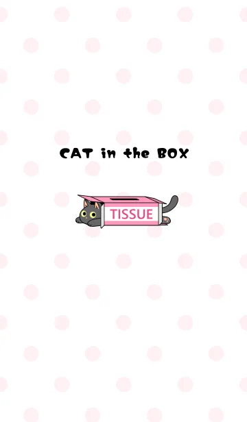 [LINE着せ替え] CAT in the BOX【黒猫】の画像1