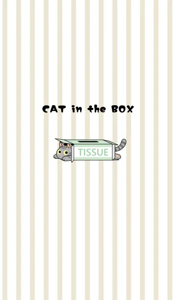 [LINE着せ替え] CAT in the BOX【アメリカンショートヘア】の画像1