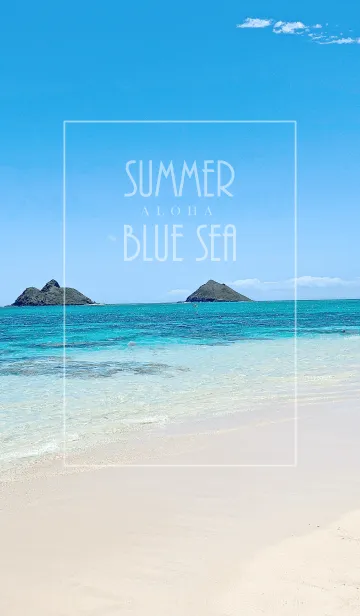 [LINE着せ替え] SUMMER BLUE SEA ALOHA 13.の画像1