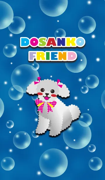 [LINE着せ替え] 【トイプードル/シルバー】アクアの画像1