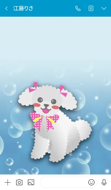 [LINE着せ替え] 【トイプードル/シルバー】アクアの画像3