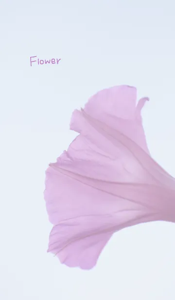 [LINE着せ替え] 花のきせかえ11の画像1