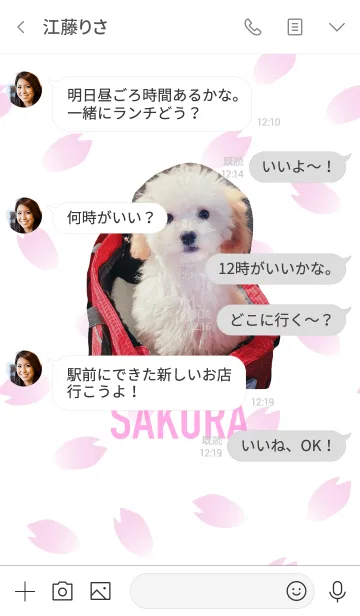 [LINE着せ替え] Toy-poodle SAKURAの画像4