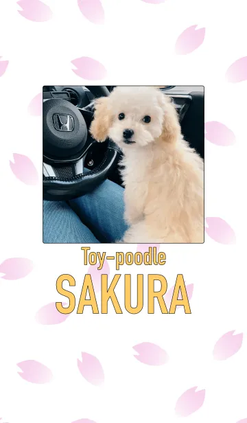 [LINE着せ替え] Toy-poodle SAKURA 2の画像1