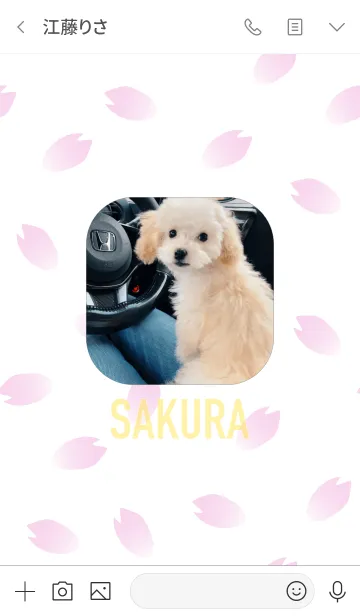 [LINE着せ替え] Toy-poodle SAKURA 2の画像3