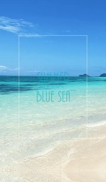 [LINE着せ替え] SUMMER BLUE SEA ALOHA 22.の画像1