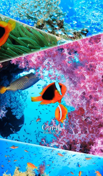 [LINE着せ替え] 魚たちとサンゴ礁の画像1